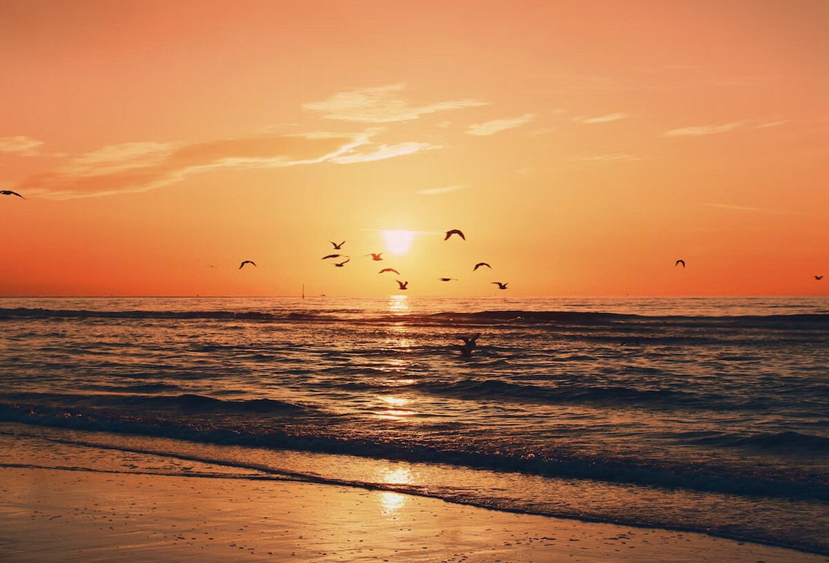 slider-4_licorne-coucher-soleil-58958752.jpg