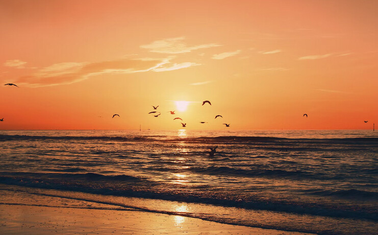 slider-4_licorne-coucher-soleil-58958669_0.jpg